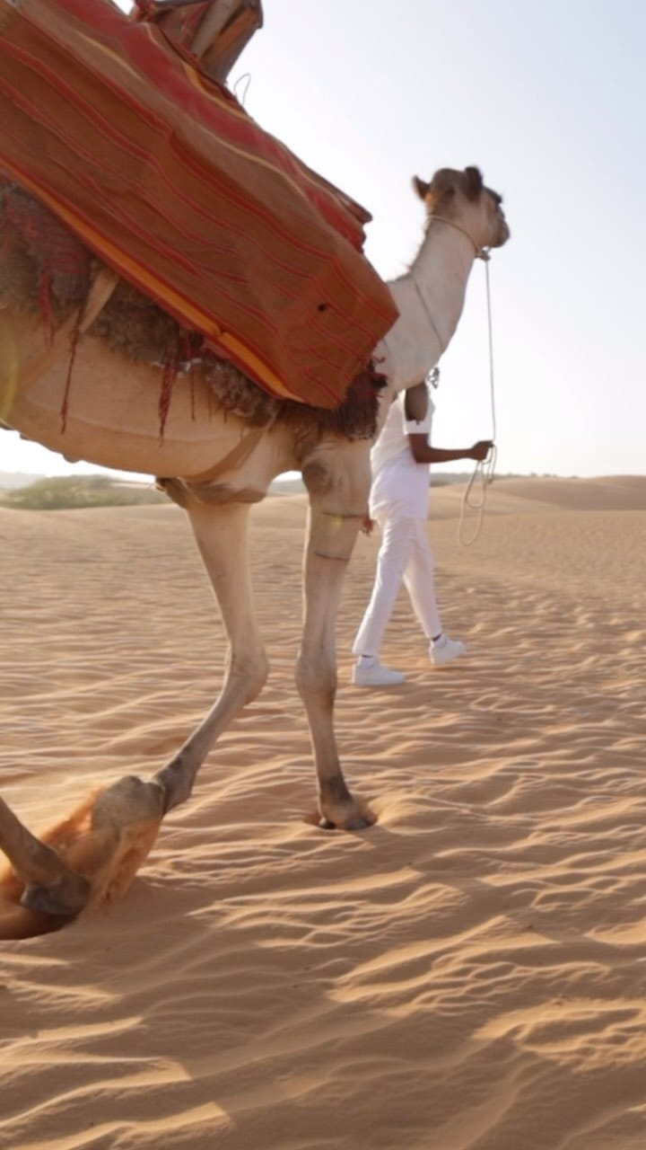 Post 7 by Ayanle Omar Ali on Instagram (video)