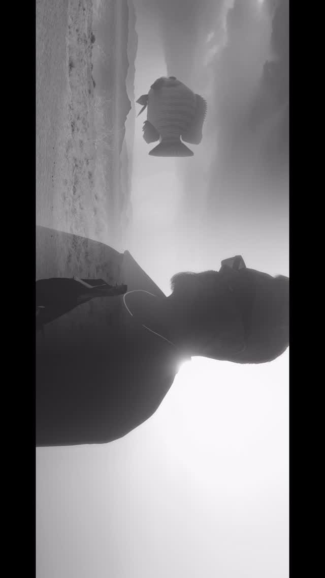 Post 7 by Sobhan Afghari on Instagram (video)