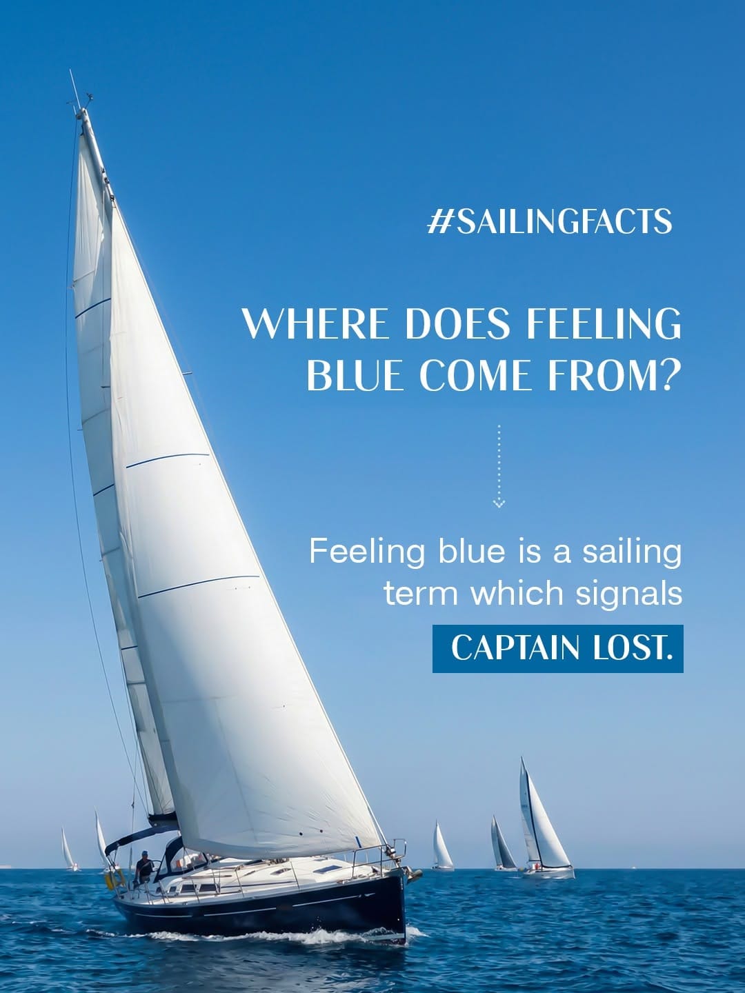 Post 6 by Dubai International Boat Show on Instagram (image)