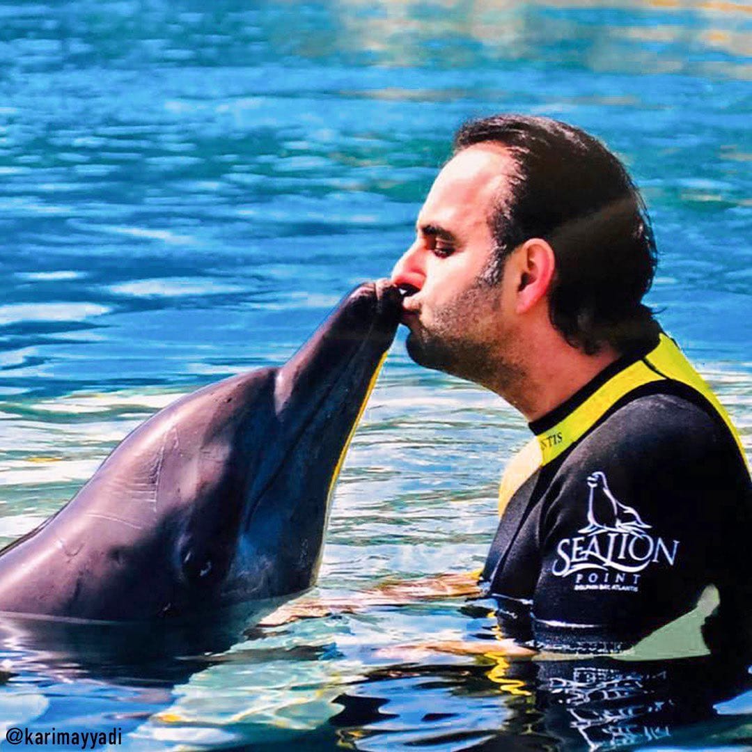 Post 10 by Karim Ayyadi on Instagram (image)