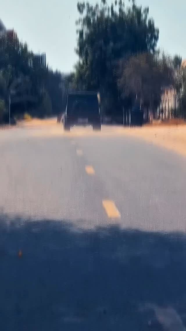 Post 1 by Schadi Mahmud on Instagram (video)