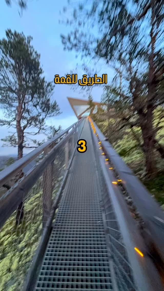 Post 8 by Ahmad Qadura - احمد قدورة on Instagram (video)