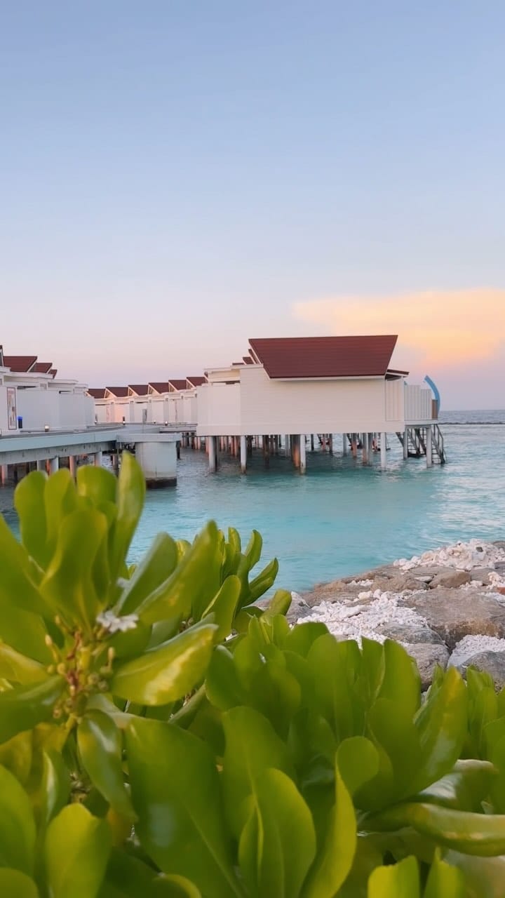 Post 5 by Wesam Al Saadi on Instagram (video)