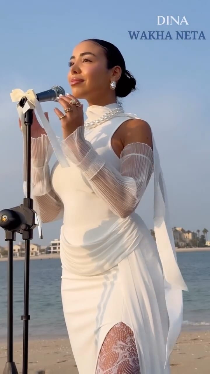 Post 3 by Dina Lambarki on Instagram (video)