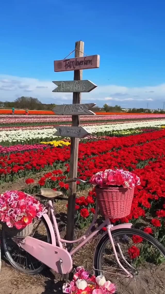 Post 3 by BOHOBE TRAVELS on Instagram (video)