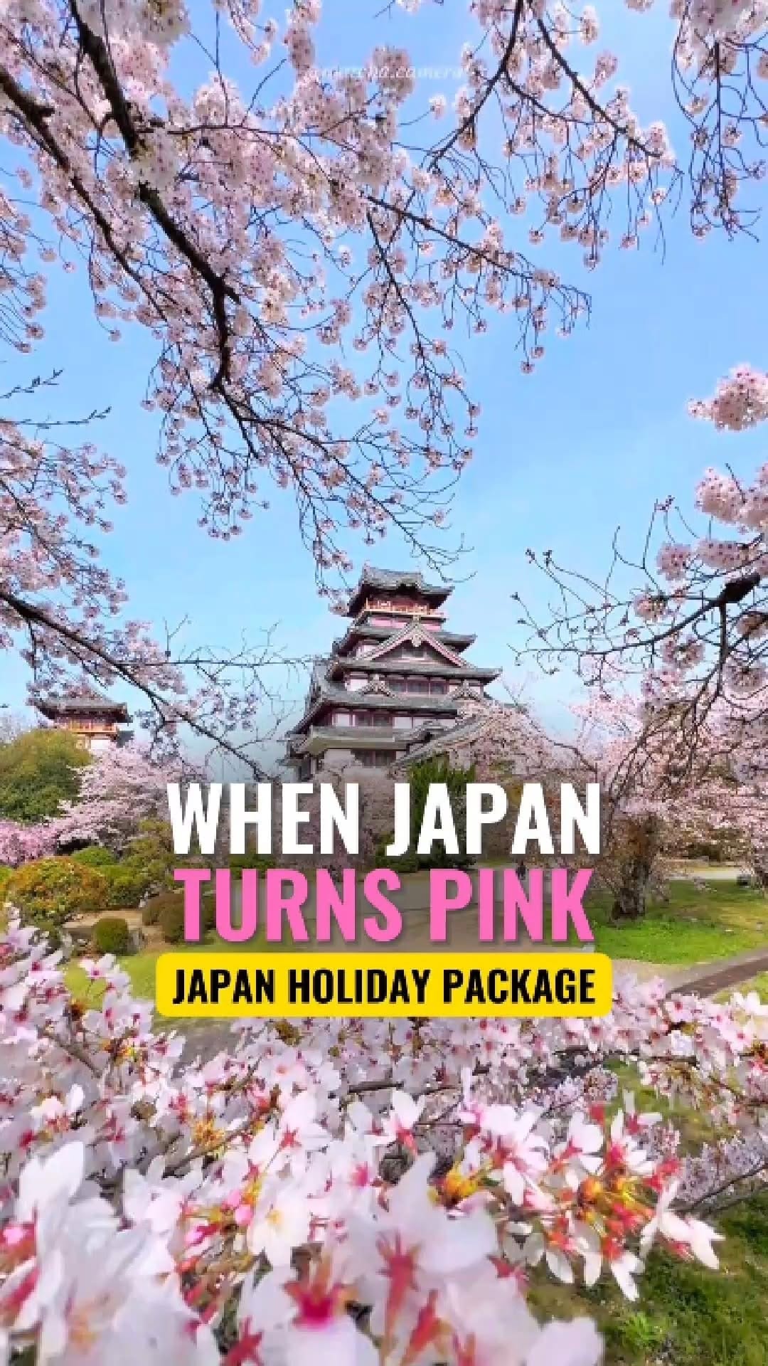 Post 10 by Pinnacle Tourism on Instagram (video)