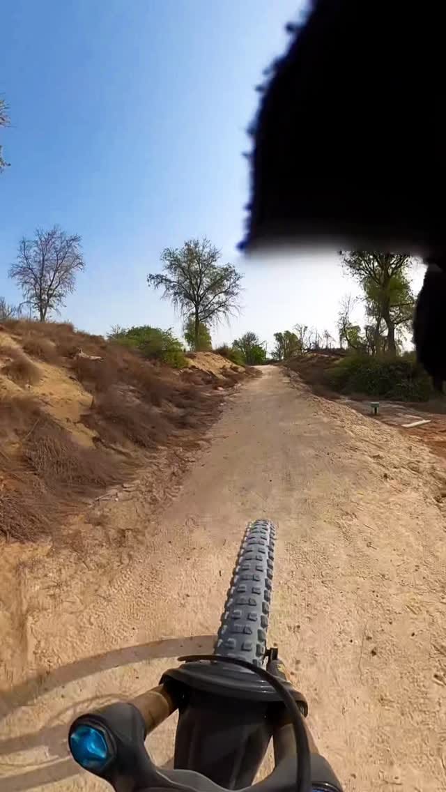 Post 3 by Diago Mohsen Haddadi Wbff-pro on Instagram (video)