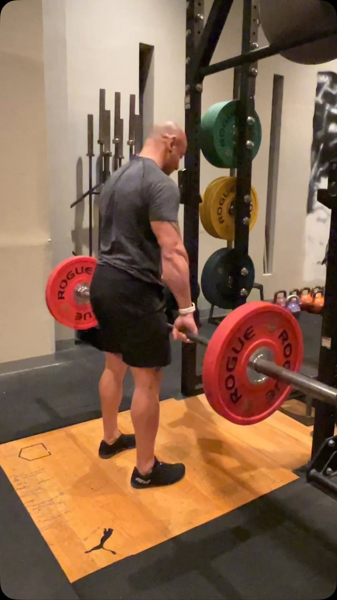 Post 7 by Diago Mohsen Haddadi Wbff-pro on Instagram (video)