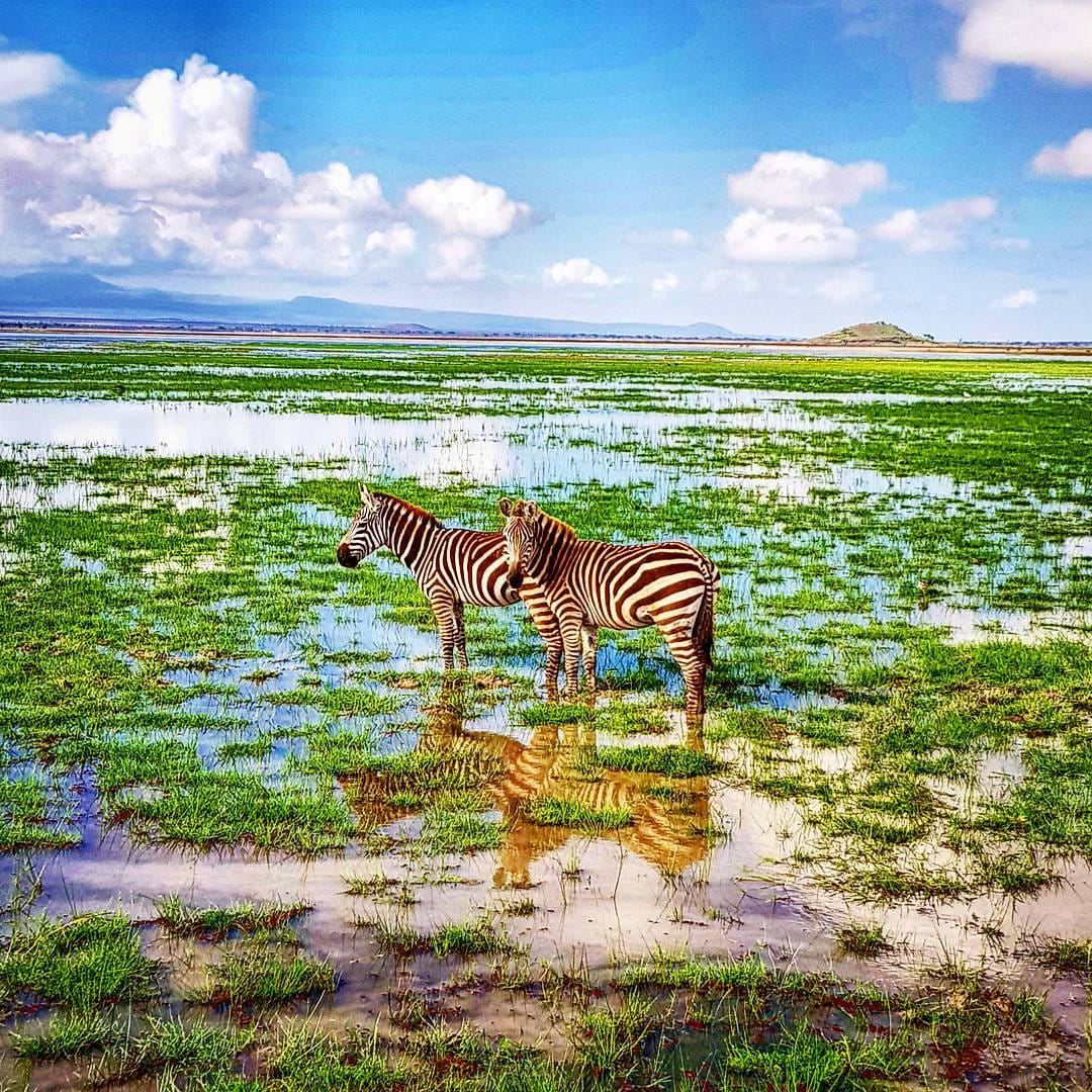 Post 10 by Norah the Explorer on Instagram (image)