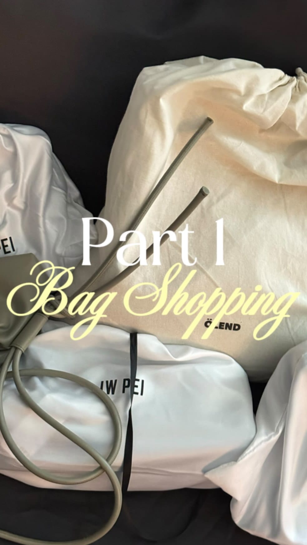 Post 2 by MONALIZA SEMERDJIAN FASHION DIRECTOR on Instagram (video)