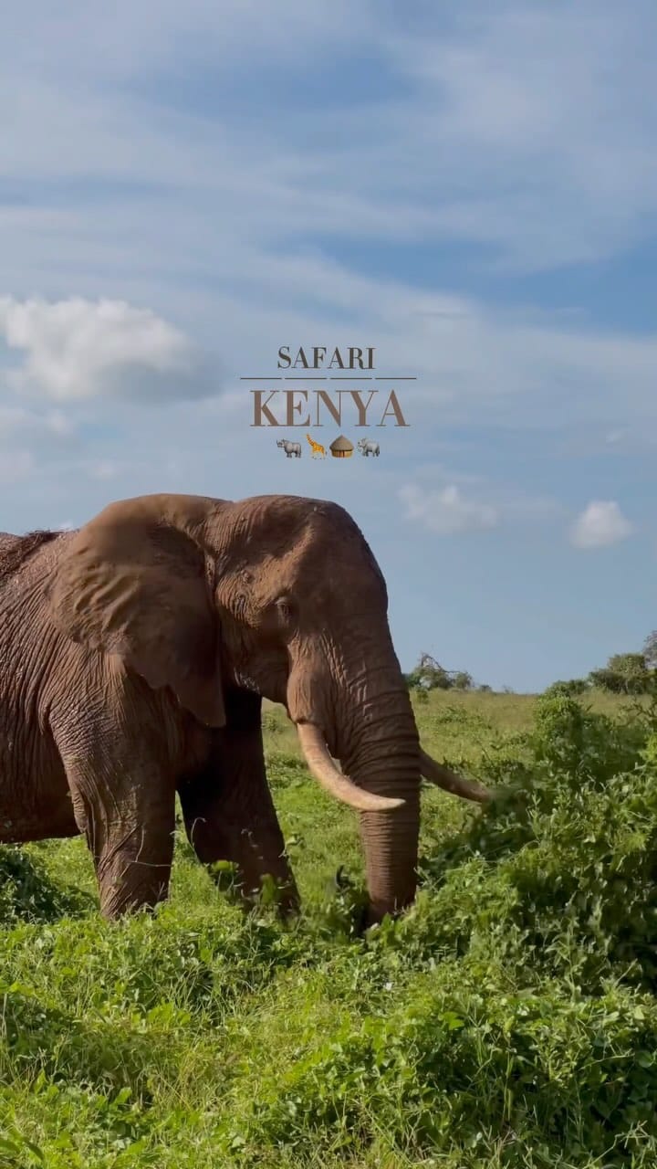 Post 8 by Andrea Persia | Travel Creator on Instagram (video)