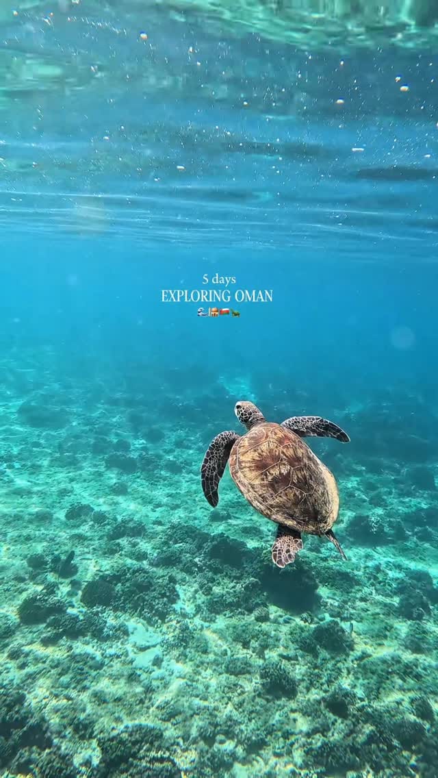 Post 1 by Andrea Persia | Travel Creator on Instagram (video)