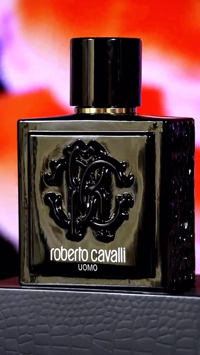 Post 5 by 𝕊𝕙𝕖𝕟𝕥𝕚𝕒 ℙ𝕙𝕠𝕥𝕠𝕘𝕣𝕒𝕡𝕙𝕪 on Instagram (video)