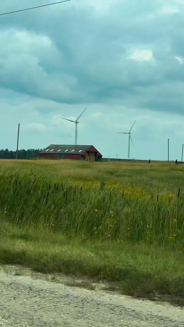 Post 3 by Shiju George on Instagram (video)