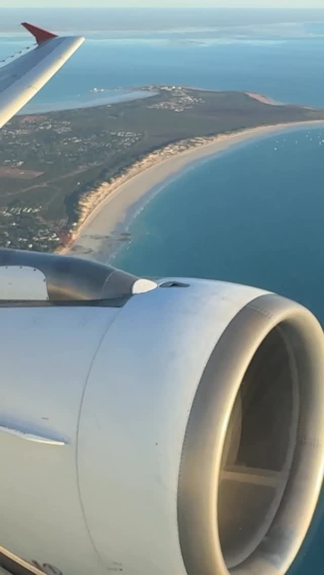 Post 10 by SKYE PETS on Instagram (video)