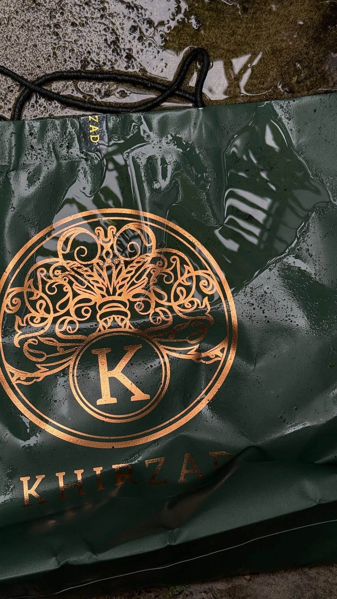 Post 4 by NILOFAR KHIRZAD on Instagram (video)