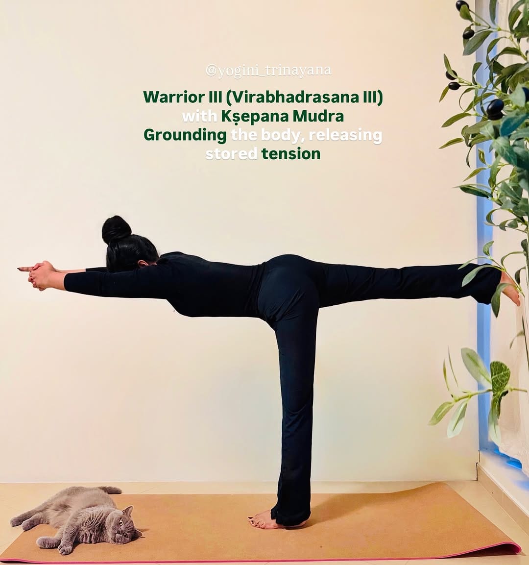 Post 2 by Dr.Trinayana Brahma on Instagram (image)