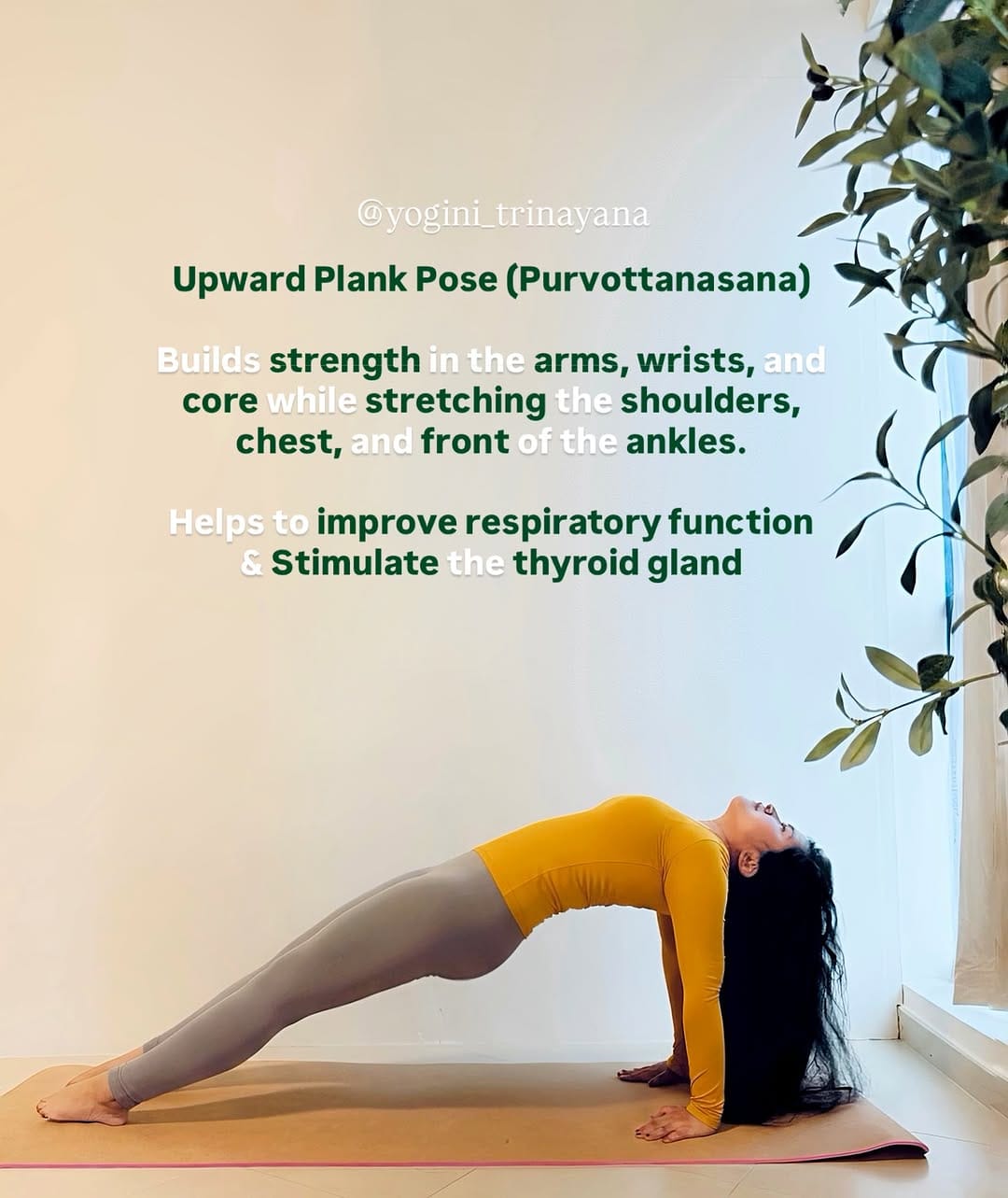 Post 1 by Dr.Trinayana Brahma on Instagram (image)