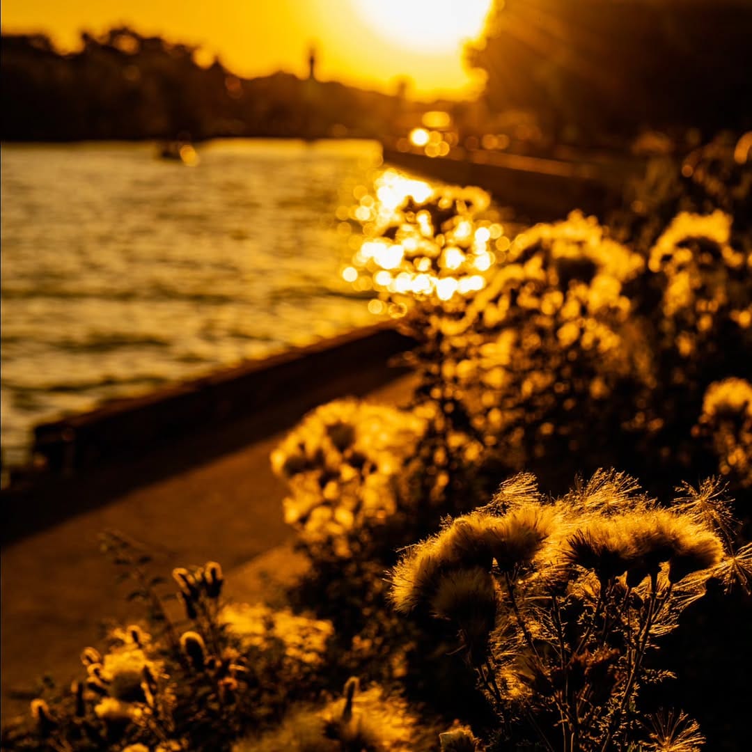 Post 10 by TJ on Instagram (image)