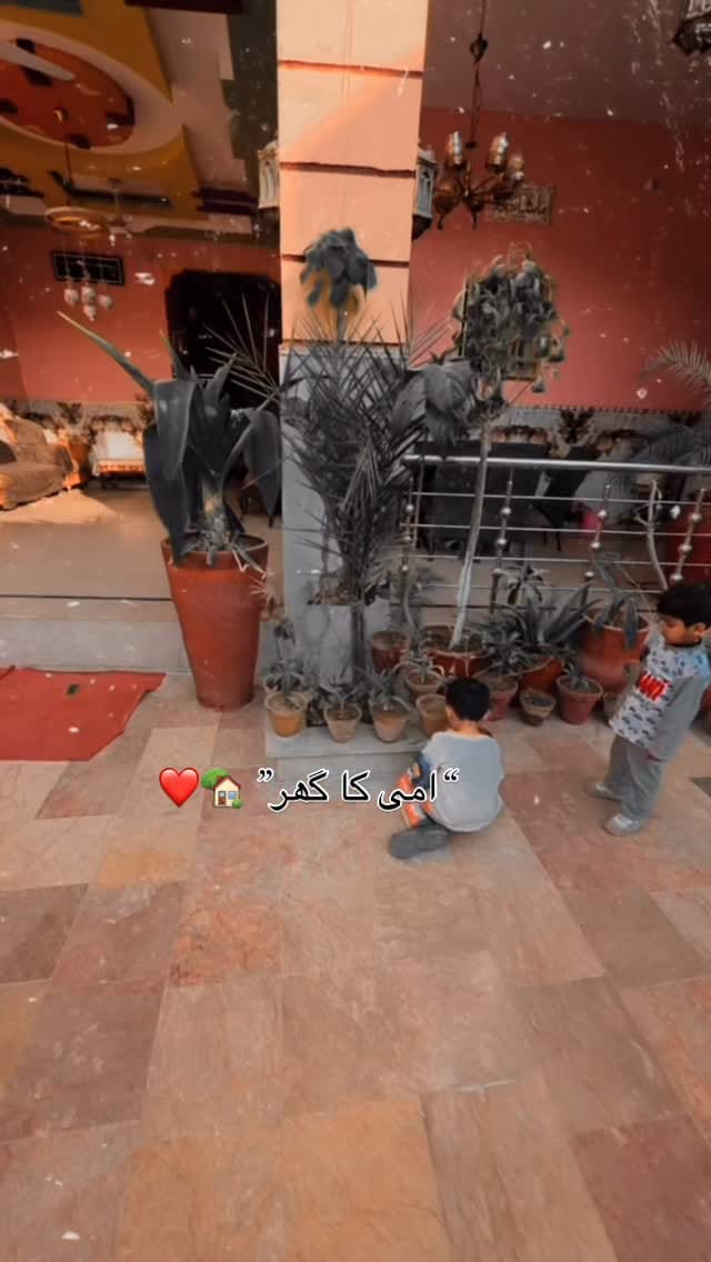 Post 2 by Anum N Shoaib |UGC Creator| UAE |🇦🇪 on Instagram (video)