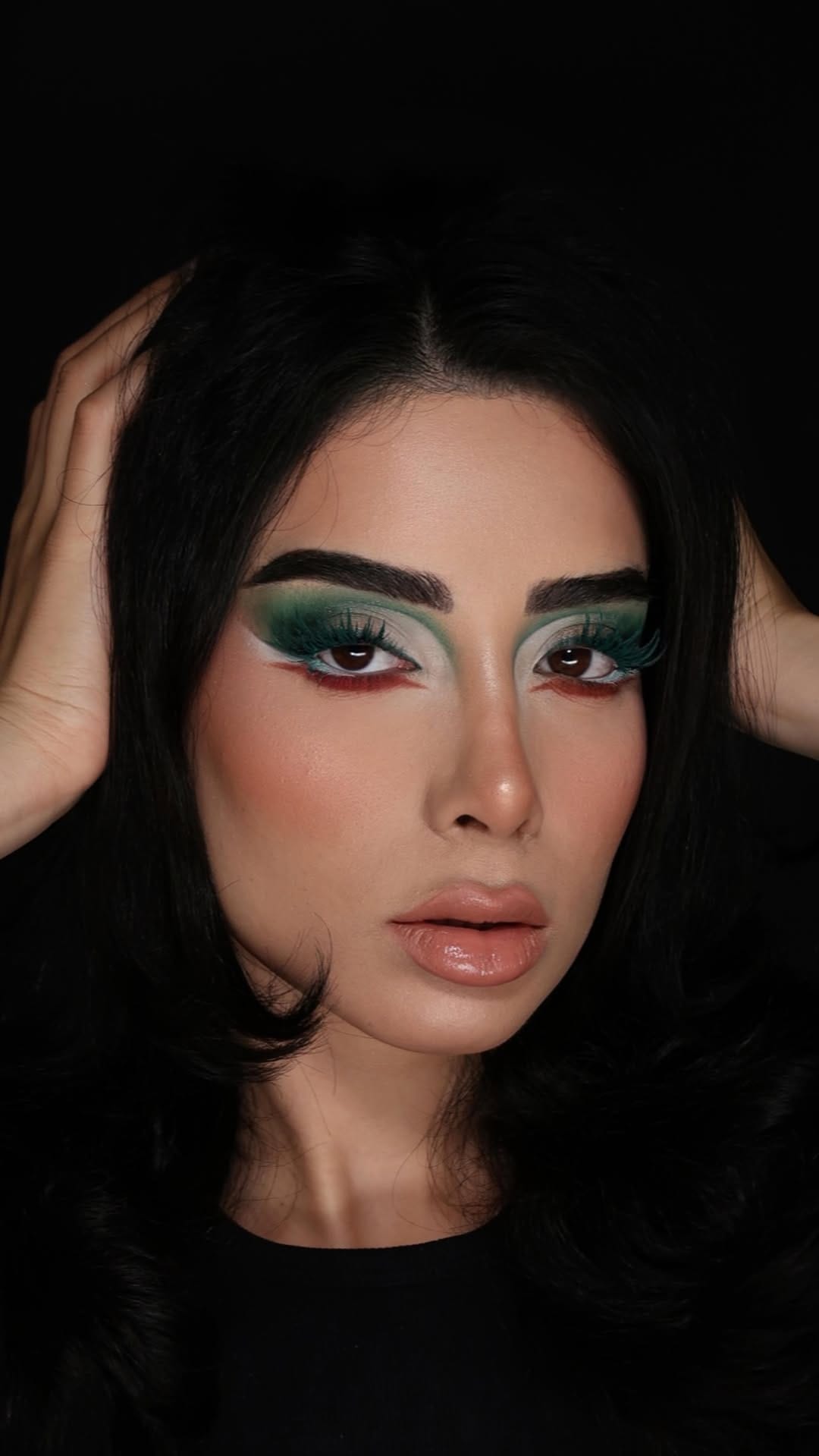 Post 3 by Shakiba Azemati on Instagram (video)