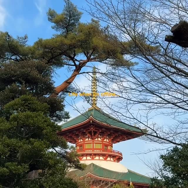Post 1 by Sofia Yakovlieva | Cabin Crew on Instagram (video)