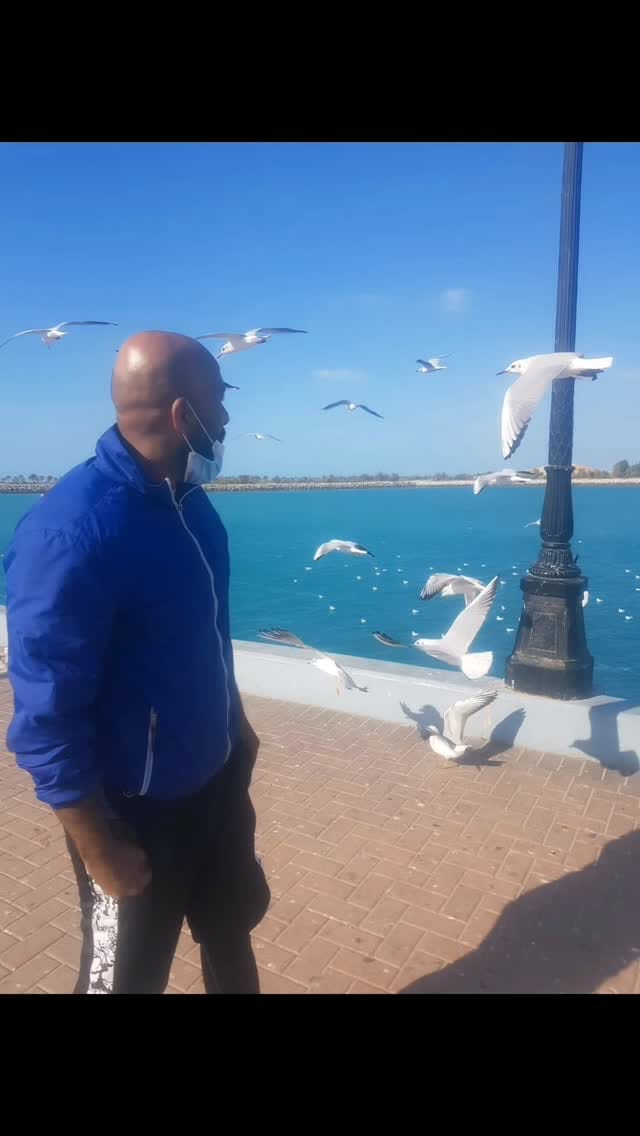Post 2 by ( K A R E E M G A B E R( K.G.FIT on Instagram (video)