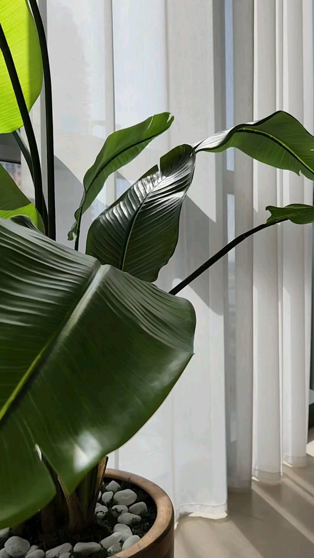 Post 3 by Ami Zg on Instagram (video)