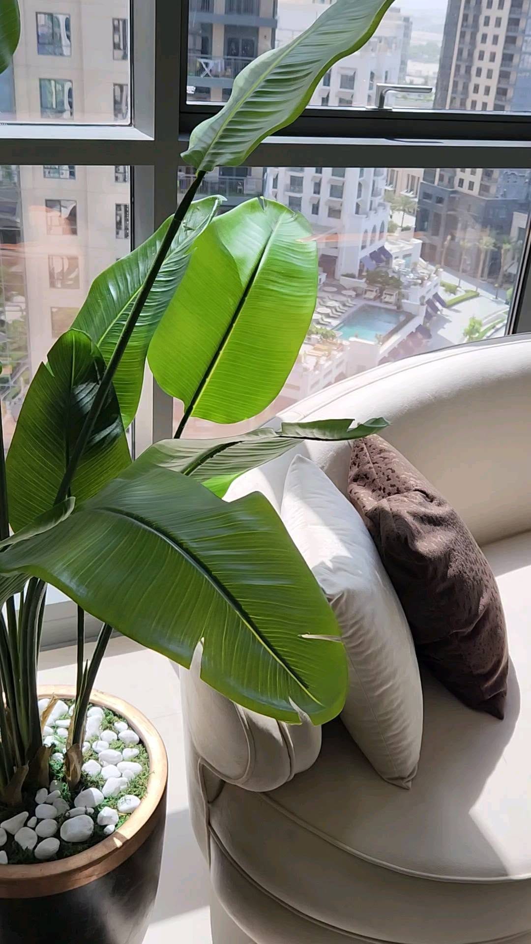 Post 10 by Ami Zg on Instagram (video)
