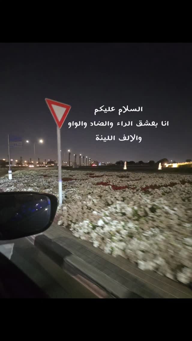 Post 2 by Radwa Khaled on Instagram (video)
