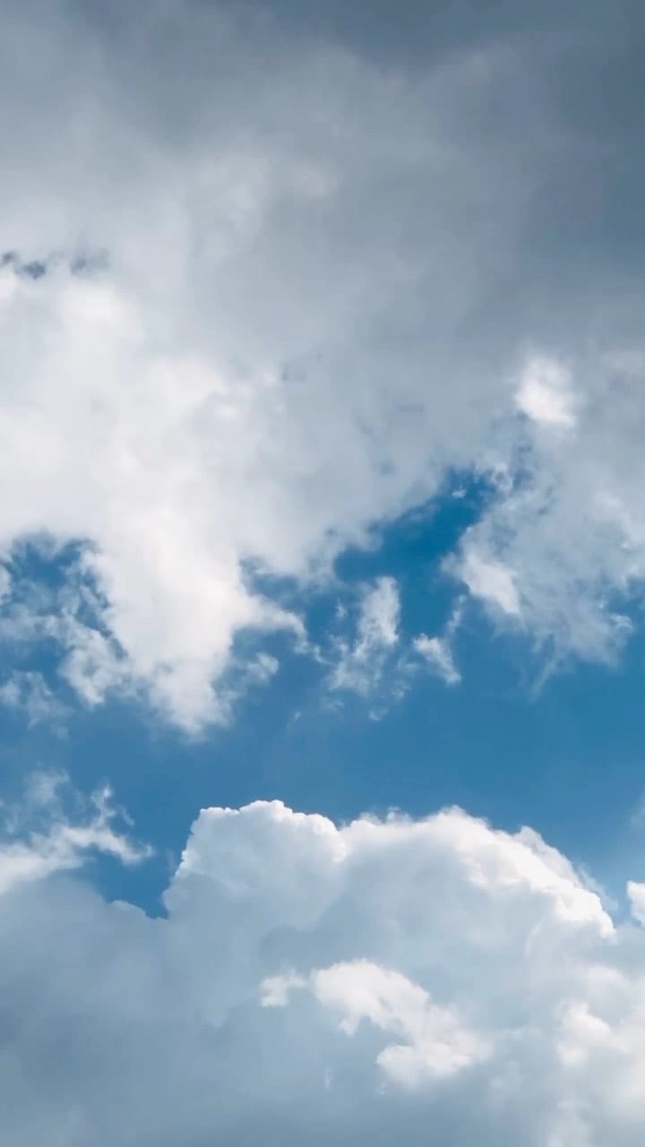 Post 9 by 𝒜𝒩𝒩𝒜   𝒫𝐸𝑅 on Instagram (video)