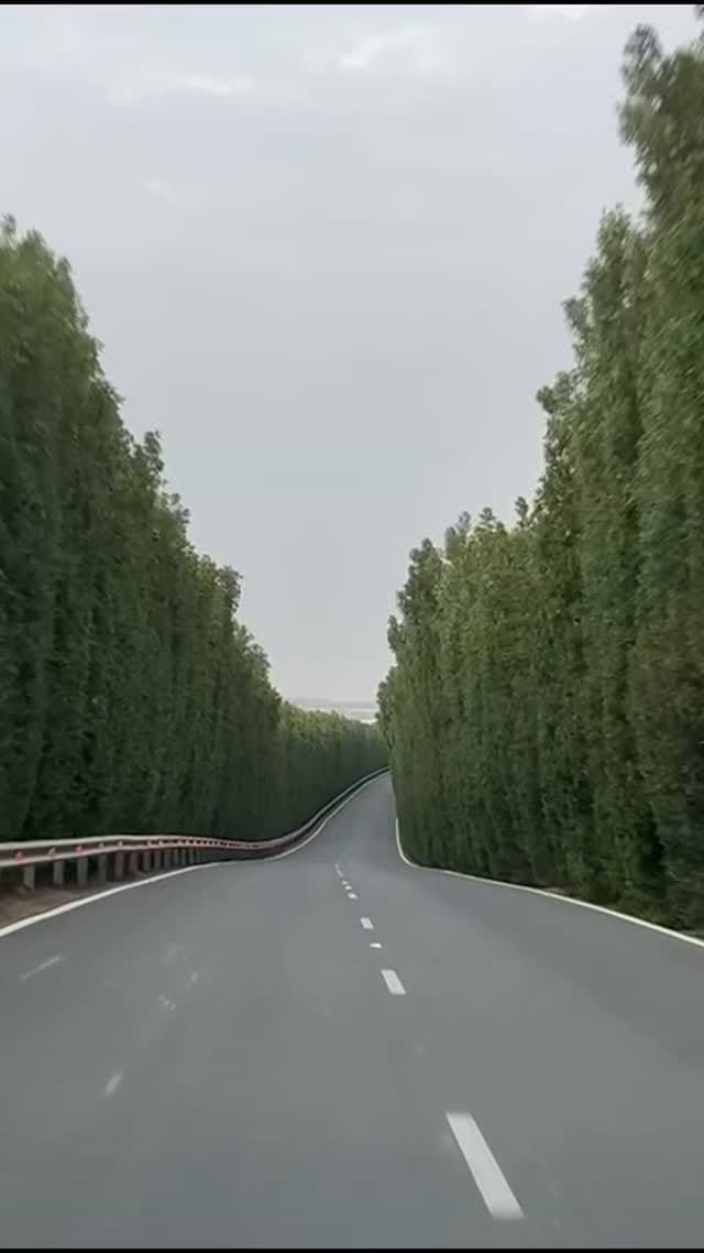Post 9 by Rafa Sheikh on Instagram (video)