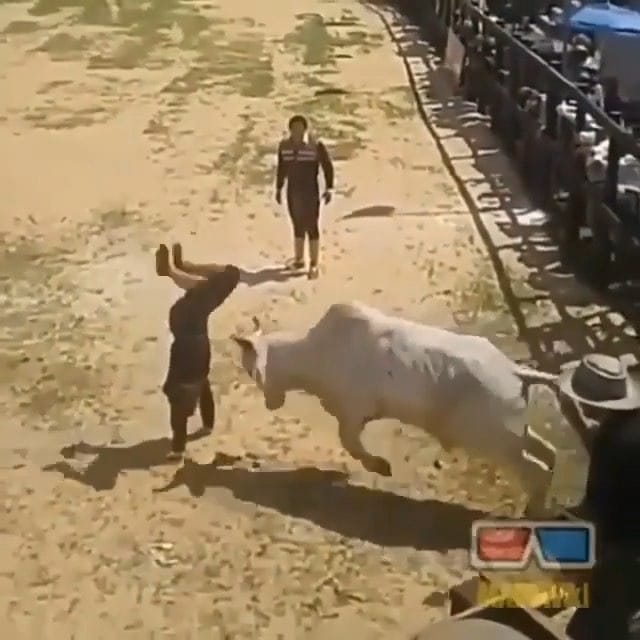 Post 6 by Nasser Zareei on Instagram (video)