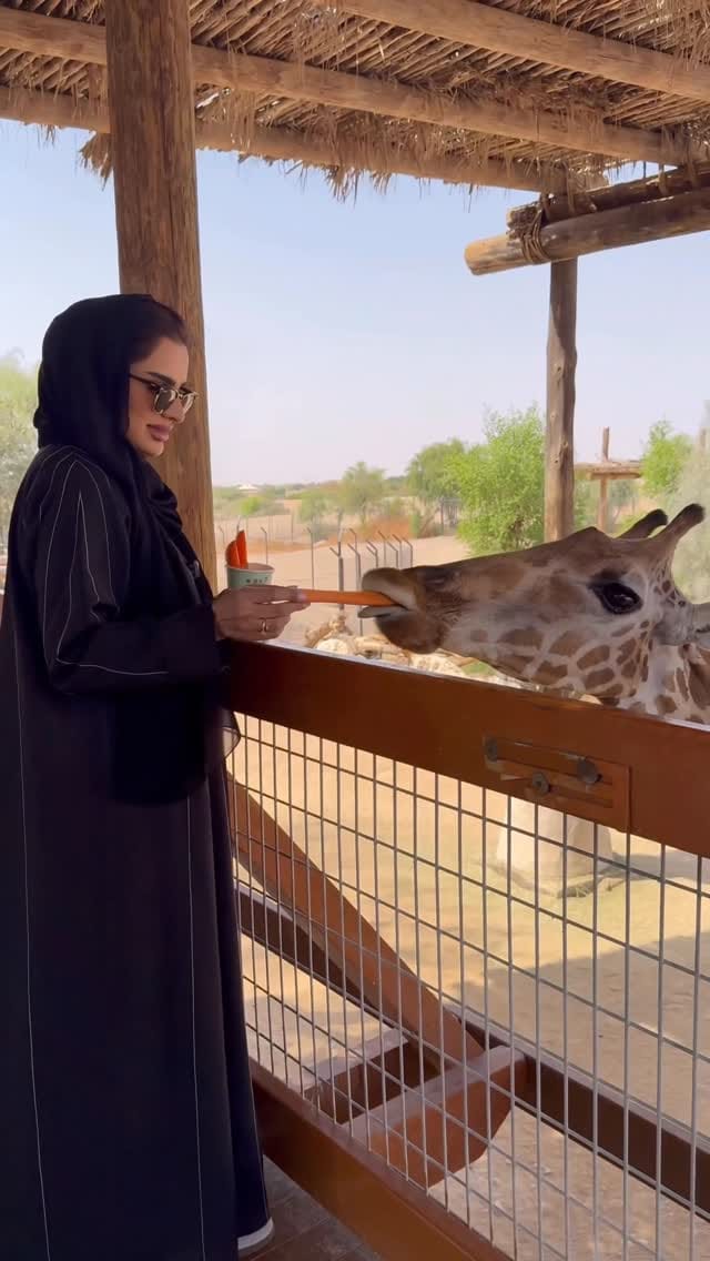 Post 2 by 💍 مريم زهي Maryam Zehi on Instagram (video)