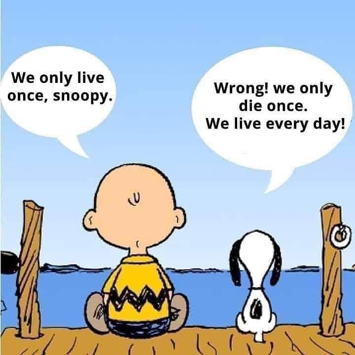 Post 4 by WeAllTOP™ | WE ALL CAN! on Instagram (image)