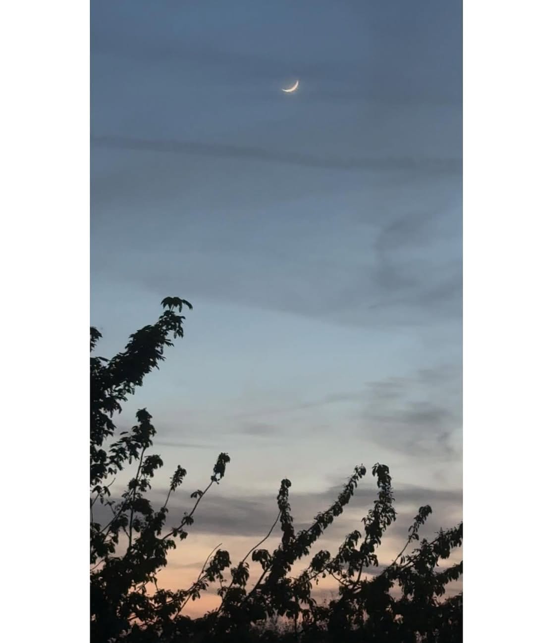 Post 8 by @h.a.l.x on Instagram (image)