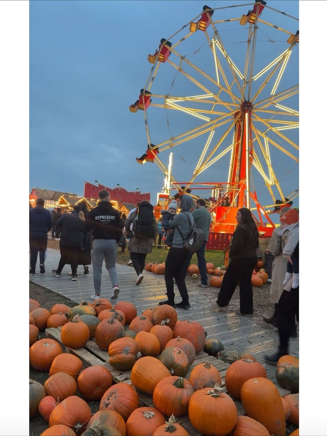 Post 3 by @h.a.l.x on Instagram (carousel)