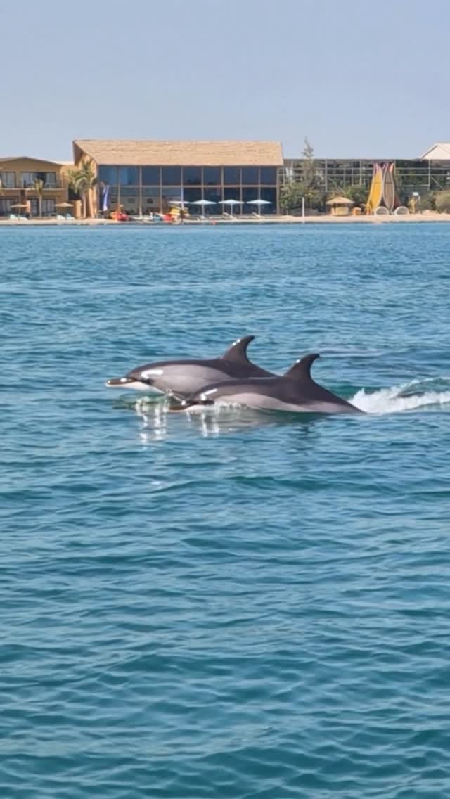 Post 9 by Anantara World Islands Dubai on Instagram (video)