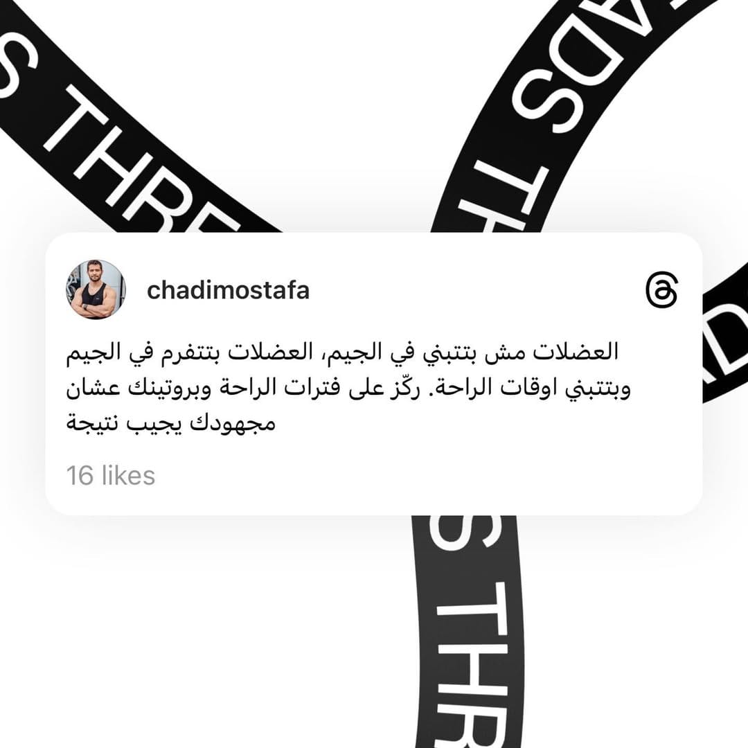Post 7 by Shady Elsayed on Instagram (image)