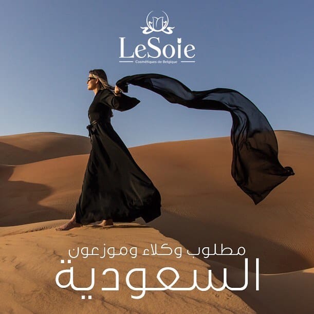 Post 6 by LeSoie Cosmetics on Instagram (image)