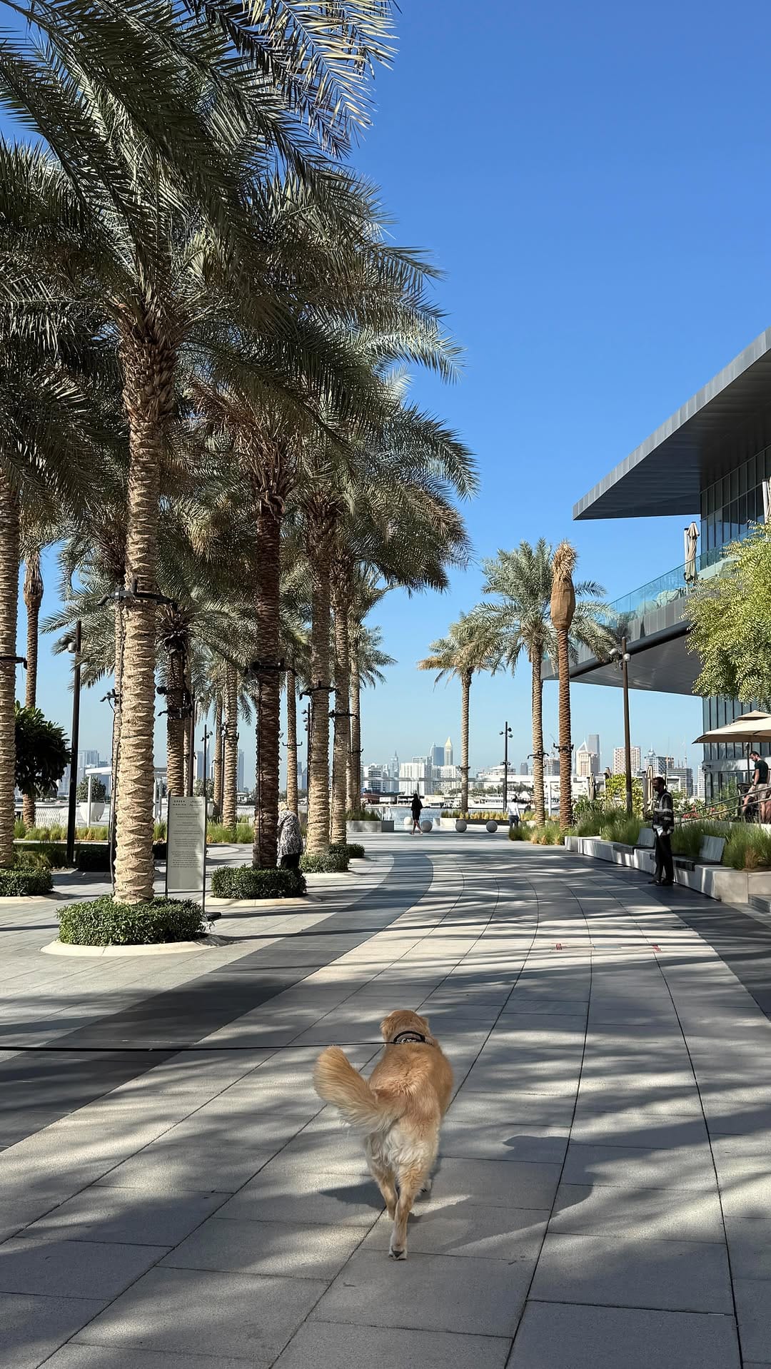 Post 2 by The Westies | Late 20’s Travel w/ a 9-5 🌎 on Instagram (video)