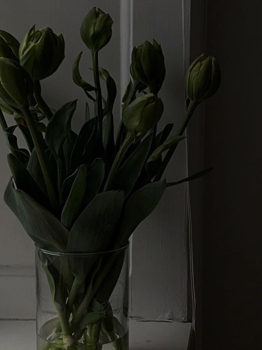 Post 8 by AURA on Instagram (image)