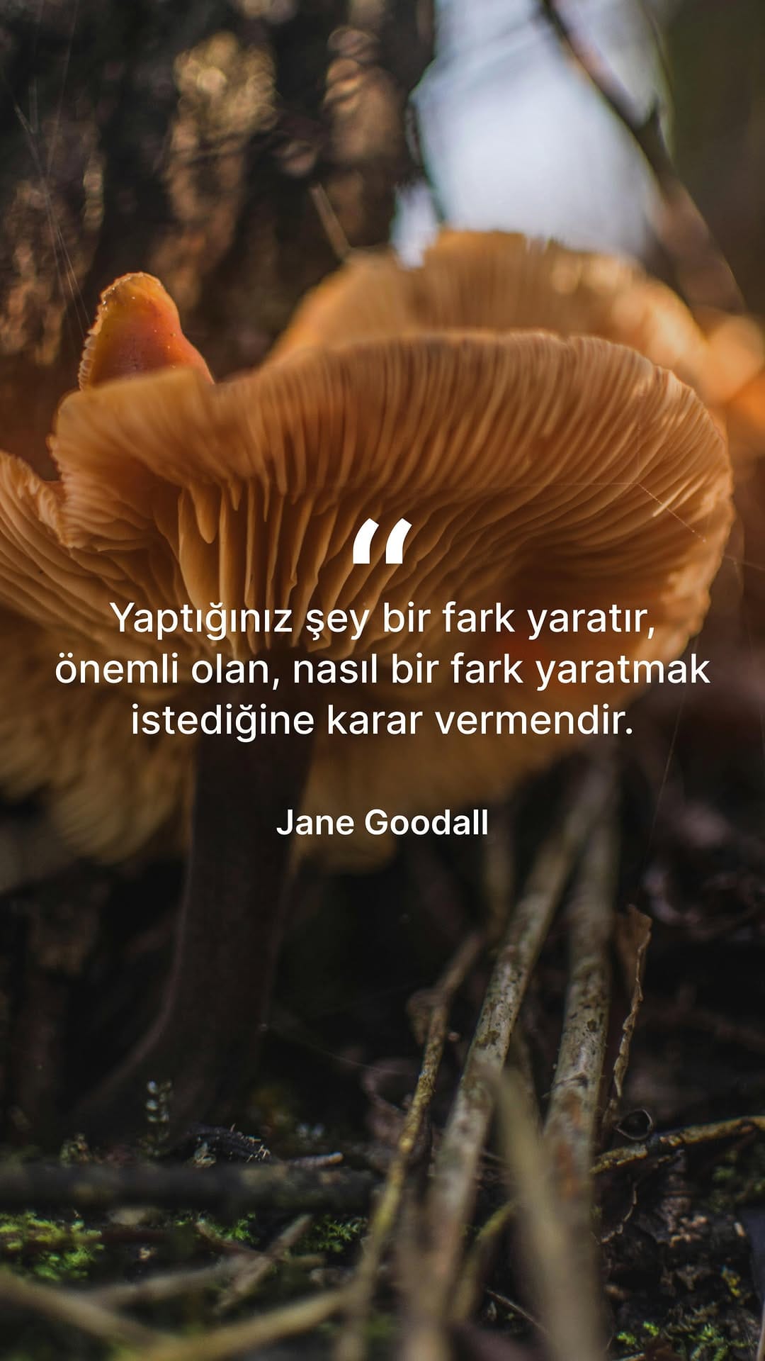 Post 7 by Yoga Pilates | Pınar Acar Sungur on Instagram (video)