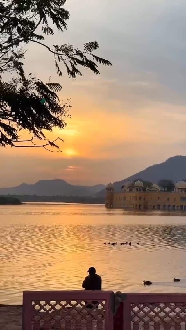 Post 5 by Wayto🐘india on Instagram (video)