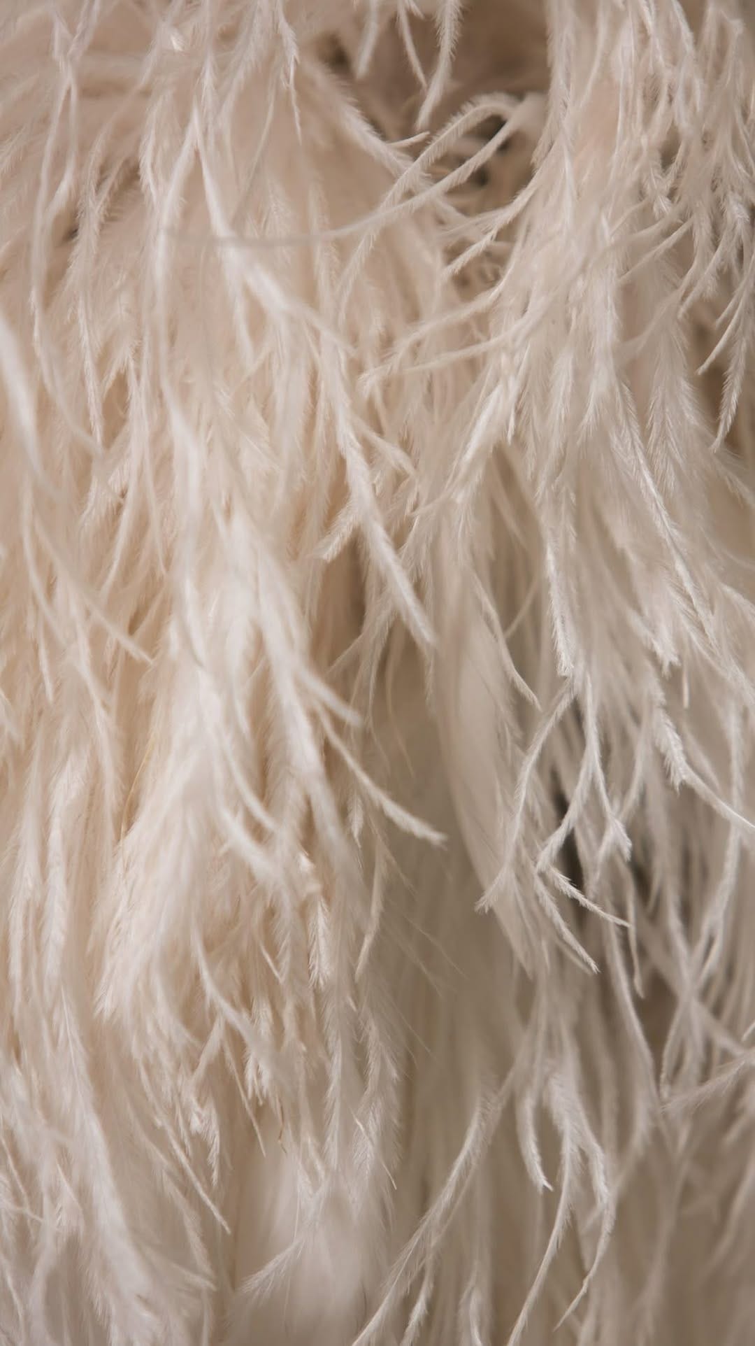 Post 1 by POP-UP BOUTIQUE on Instagram (video)