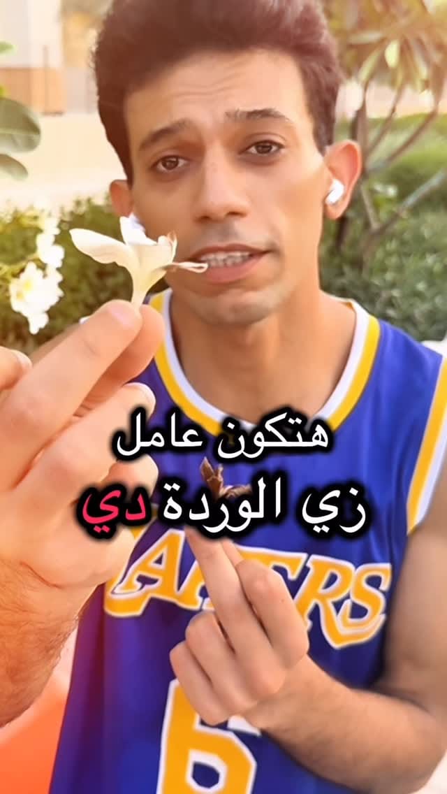 Post 2 by Mohamed Alashry on Instagram (video)