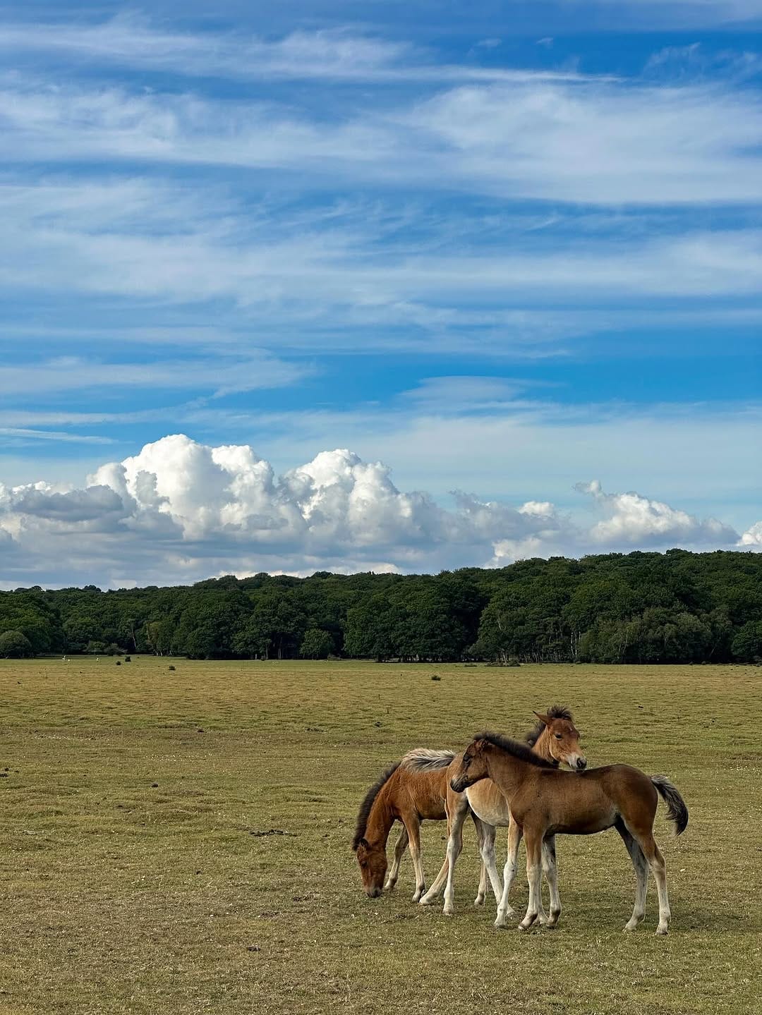 Post 8 by Lindsey Parry on Instagram (image)