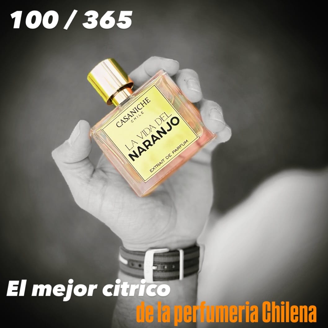 Post 2 by Niche Perfumery - Author Perfumery on Instagram (image)