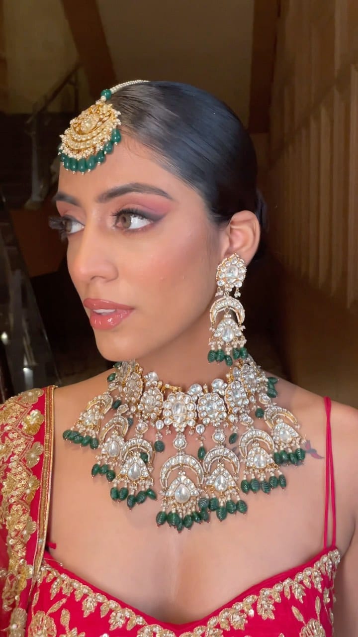 Post 7 by Shreya Shrivastava on Instagram (video)