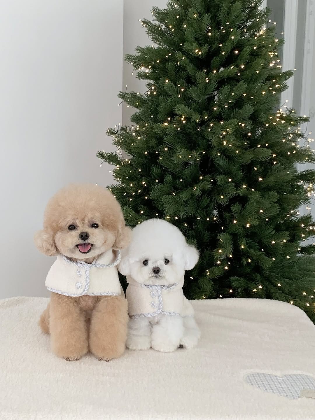 Post 5 by 니어바이어스 on Instagram (carousel)